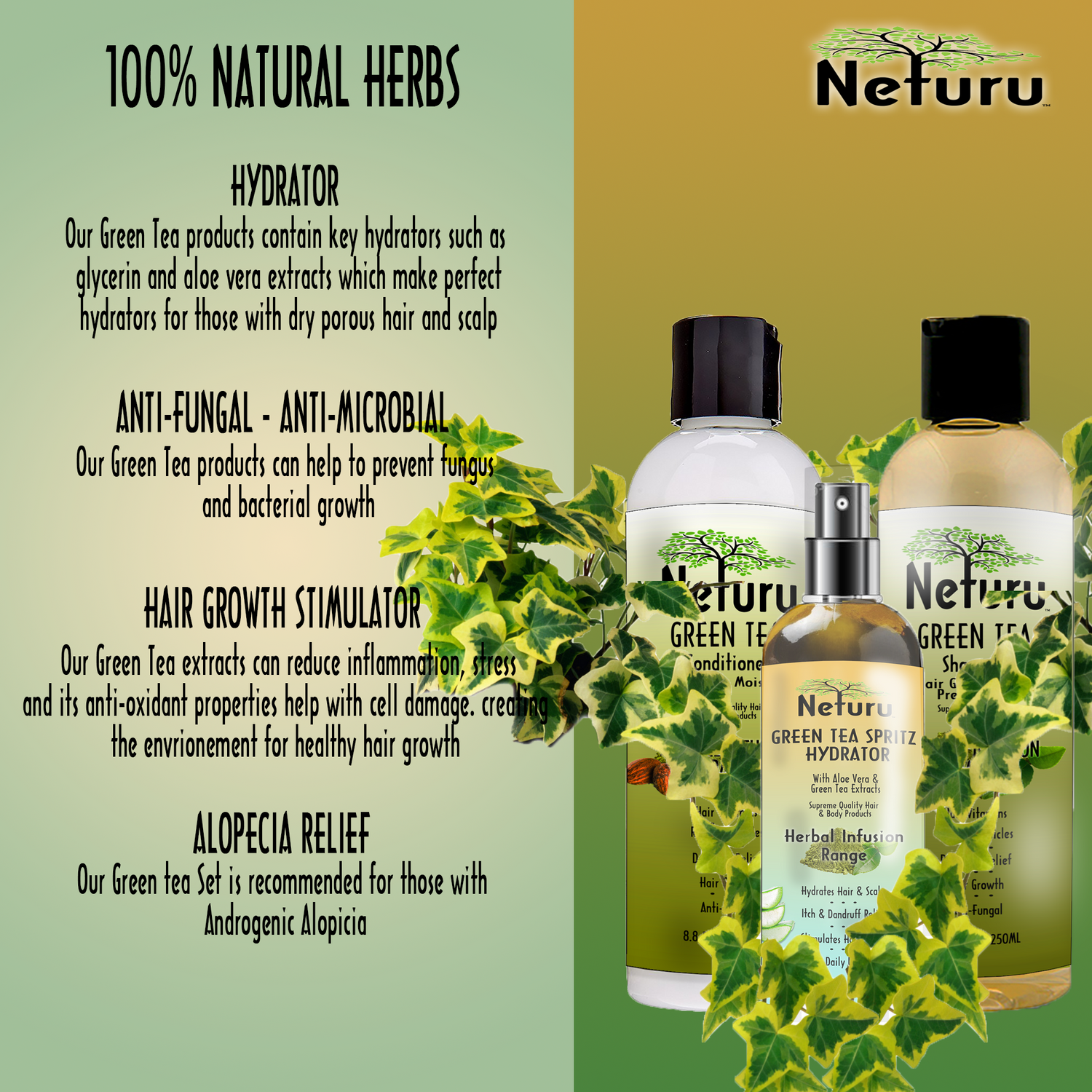 Green Tea set benefits